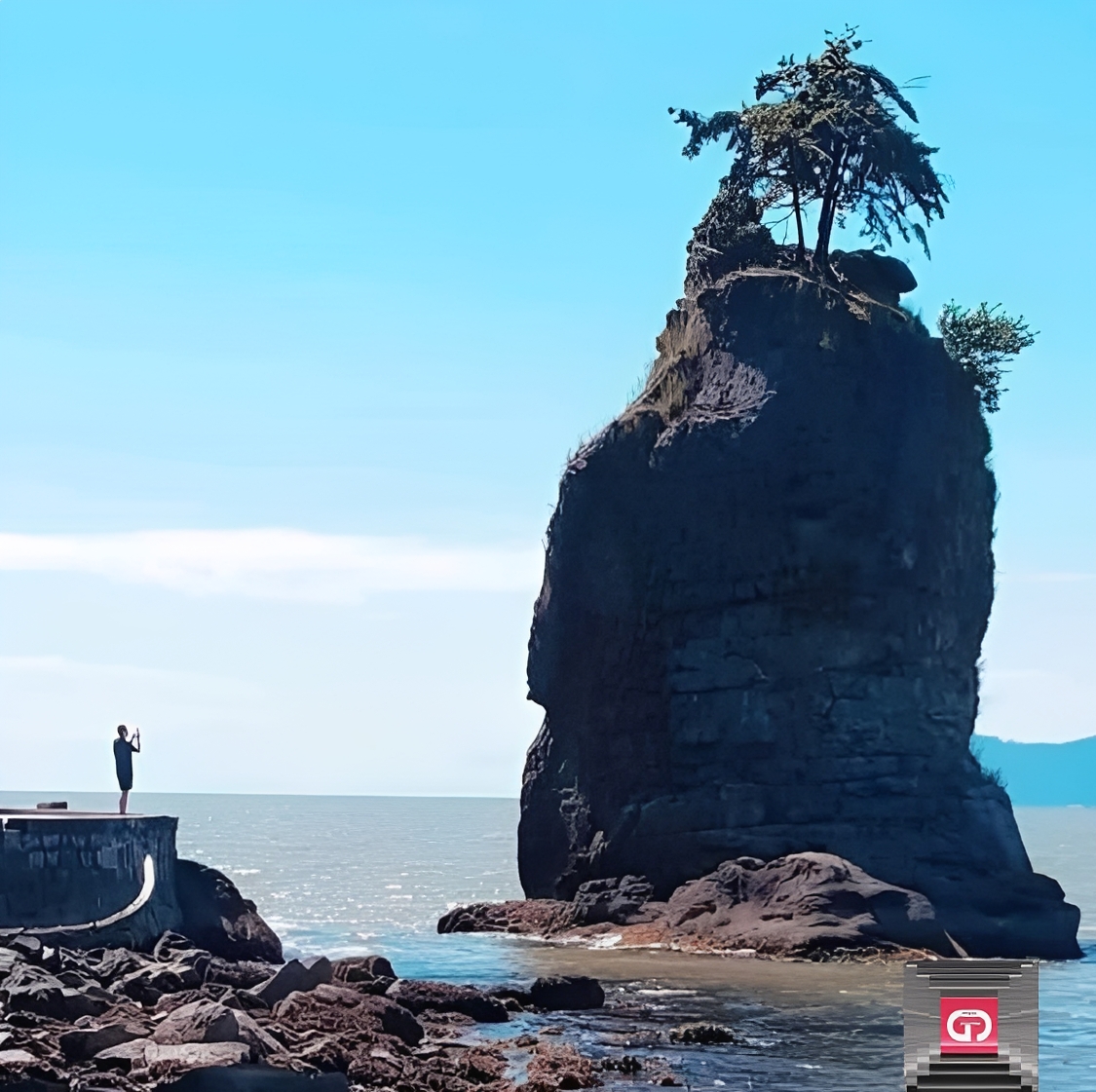 Person photographing tall tree‑topped sea stack